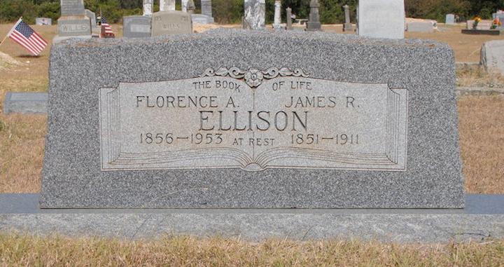 Slide 7 of cemetery gallery